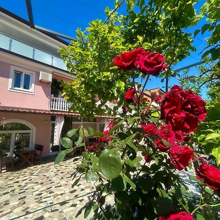 Apartments Tereza Novigrad  ภายนอก รูปภาพ