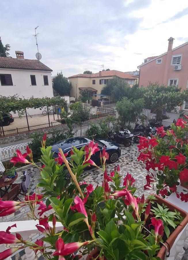 Apartments Tereza Novigrad  ภายนอก รูปภาพ