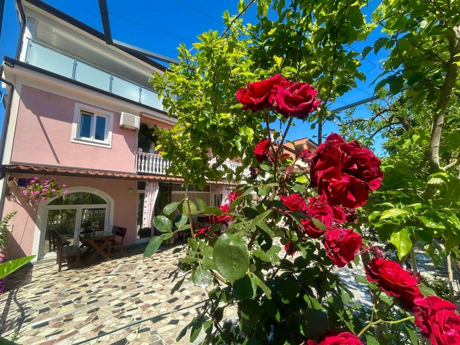 Apartments Tereza Novigrad  ภายนอก รูปภาพ